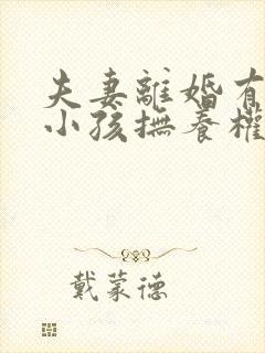 夫妻离婚有两个小孩抚养权怎么判