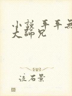 小说 平平无奇大师兄