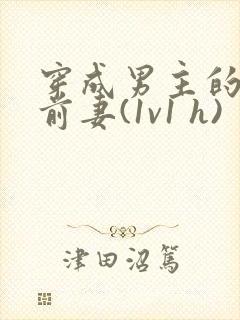 穿成男主的炮灰前妻(1v1 h)