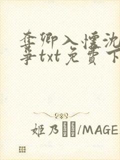 夺卿入怀沈念裴争txt免费下载全本最