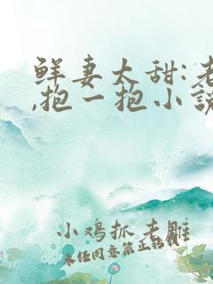 鲜妻太甜:老公,抱一抱小说