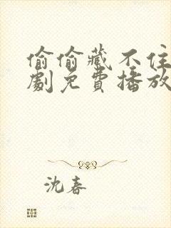 偷偷藏不住电视剧免费播放在线