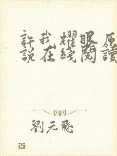 许我耀眼原著小说在线阅读