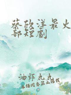 蔡欣洋最火的十部短剧