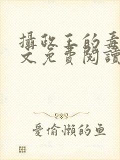 摄政王的毒妃全文免费阅读