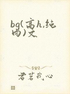 bg(高h,纯肉)文