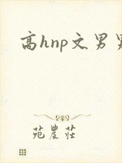 高hnp文男男