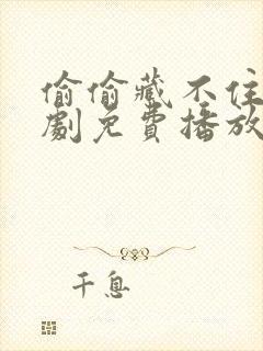 偷偷藏不住电视剧免费播放西瓜网