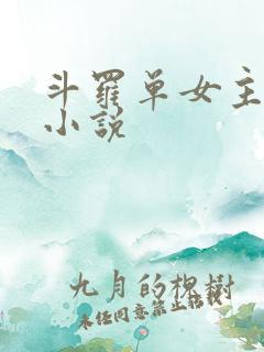 斗罗单女主同人小说