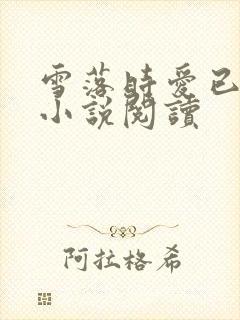 雪落时爱已落幕小说阅读