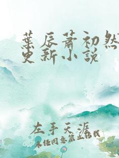 叶辰萧初然最新更新小说