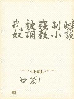 我被强制雌堕肉奴调教小说