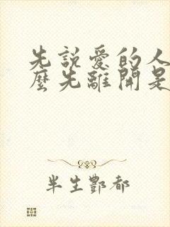 先说爱的人为什么先离开是什么歌