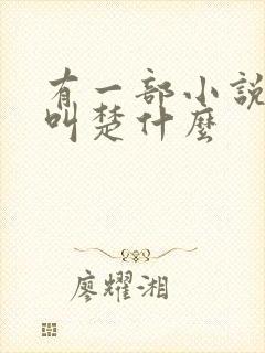 有一部小说主角叫楚什么