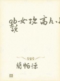 gb女攻高h小说