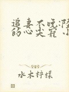 追妻不晚:陆少的心尖宠 小说