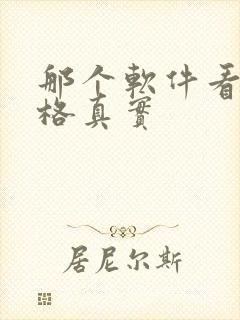 那个软件看车价格真实