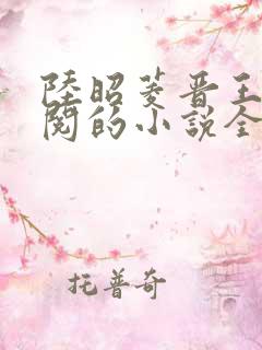 陆昭菱晋王周时阅的小说全文免费阅读