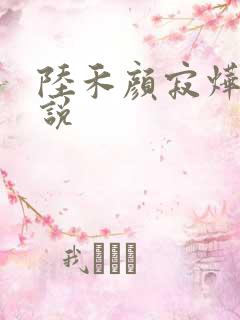 陆禾颜寂烨霖小说