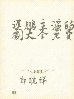 迟鹏主演的电视剧大全免费观看