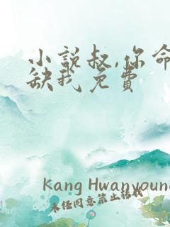 小说叔,你命中缺我免费