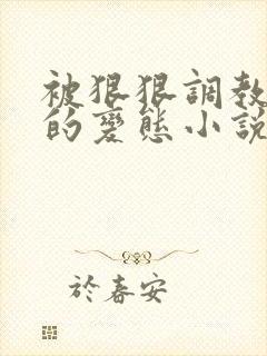 被狠狠调教玩弄的变态小说