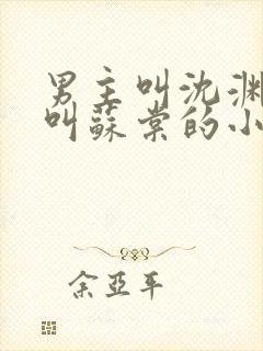 男主叫沈渊女主叫苏棠的小说