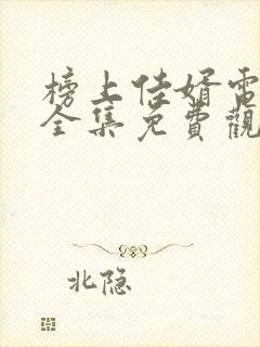 榜上佳婿电视剧全集免费观看高清