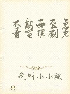 不期而至免费观看电视剧免费观看