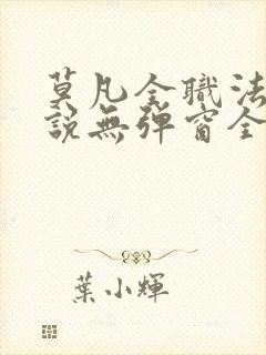 莫凡全职法师小说无弹窗全文阅读