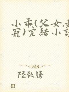 小乖(父女,甜宠)完结小说