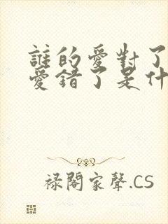 谁的爱对了谁的爱错了是什么歌