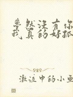 梦然没有你陪伴我真的好孤单