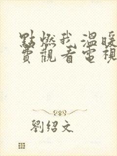 点燃我温暖你免费观看电视剧全集在