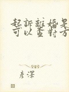 起诉离婚是不是可以查对方的账户