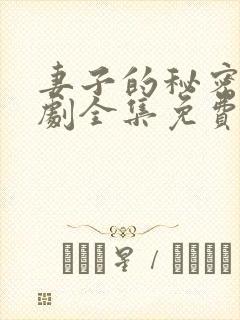 妻子的秘密电视剧全集免费完整版