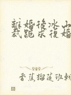 离婚后冰山女总裁跪求复婚