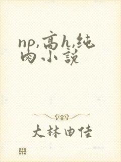 np,高h,纯肉小说