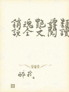 销魂艳婢类似小说全文阅读