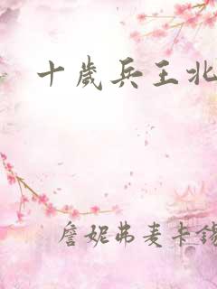 十岁兵王北玄