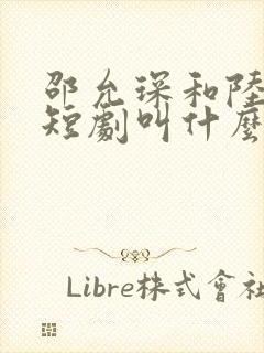 邵允琛和陆瑶的短剧叫什么