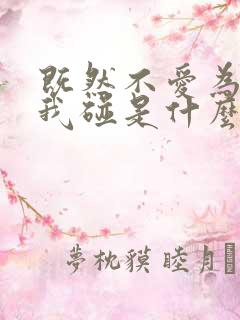 既然不爱为何把我碰是什么歌