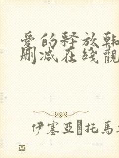 爱的释放韩国无删减在线观看