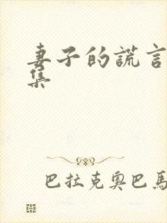 妻子的谎言第1集