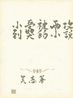 小受被两攻双龙到哭的小说