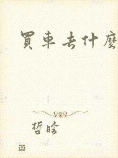 买车去什么网好