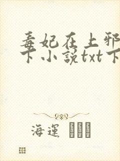 毒妃在上邪王在下小说txt下载