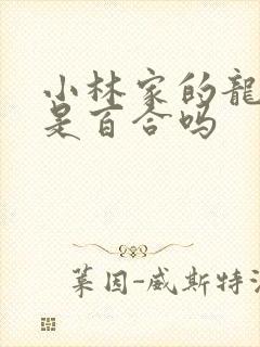 小林家的龙女仆是百合吗