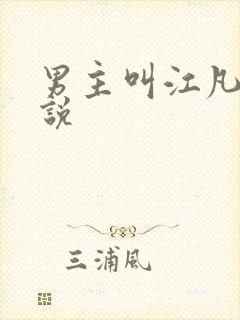 男主叫江凡的小说
