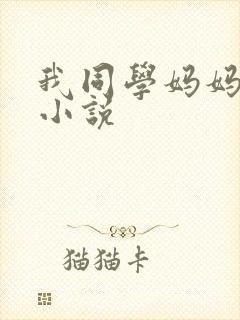 我同学妈妈张姨小说